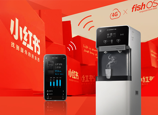 中迪-小红书推广图